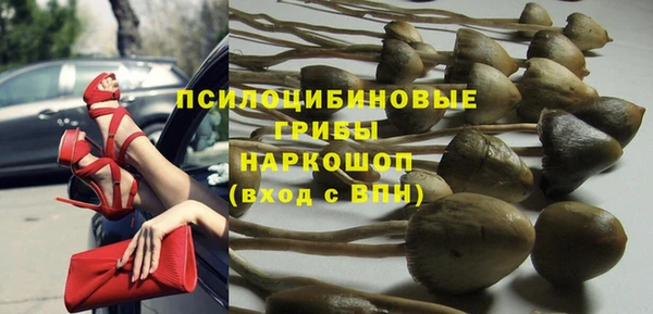 твердый Саяногорск