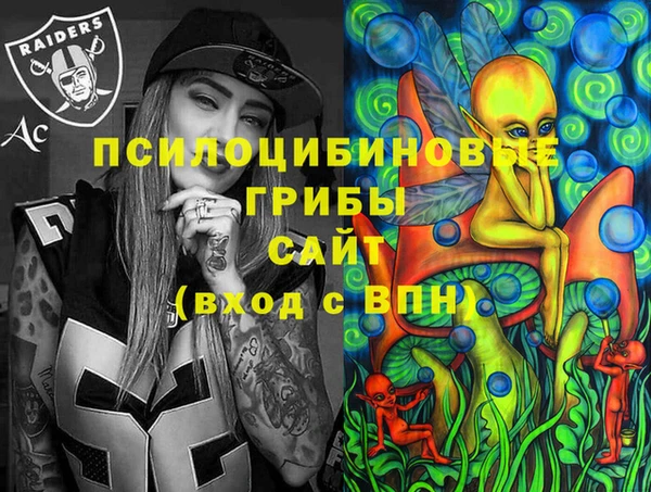 твердый Саяногорск