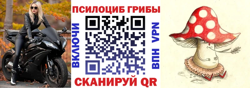 купить наркотик  Ухта  omg ссылки  Псилоцибиновые грибы MAGIC MUSHROOMS 