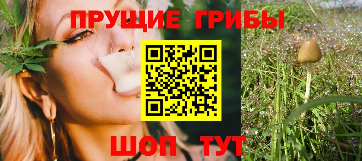 Галлюциногенные грибы прущие грибы Ухта